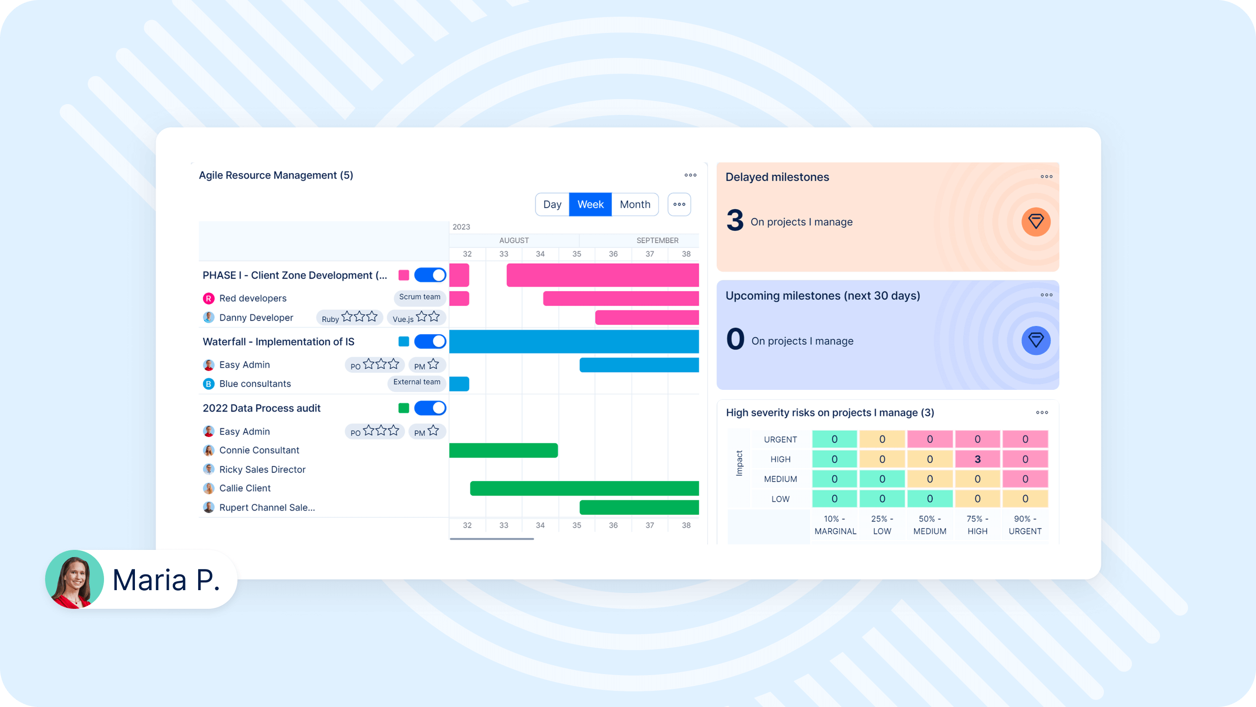 Agile resource management dashboard in Easy Redmine software