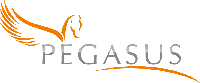 Pegasus Consulenza-Easy Redmine Partner